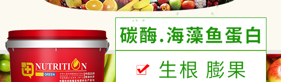 ̼ø�������~(y��)����-��������