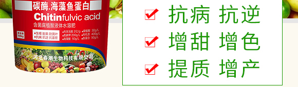 ̼ø�������~(y��)����-��������