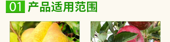 ̼ø�������~(y��)����-��������