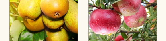 ̼ø�������~(y��)����-��������