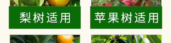 ̼ø�������~(y��)����-��������