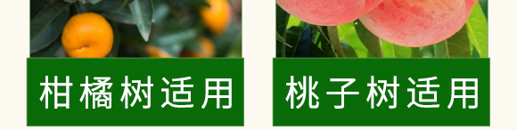 ̼ø�������~(y��)����-��������