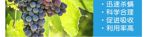 ������-��Ʒ����