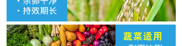 ������-��Ʒ����