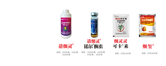 熒光假單細(xì)胞-細(xì)璽-農(nóng)墾 熒光假單細(xì)胞-細(xì)璽-農(nóng)墾