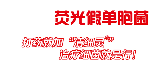 �ɹ�نμ�(x��)��-��(x��)�`�`�ɿ���-�r(n��ng)��