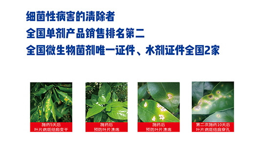 �ɹ�نμ�(x��)��-��(x��)�`�`�ɿ���-�r(n��ng)��