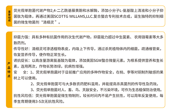 �ɹ�نμ�(x��)��-��(x��)�`�`�ɿ���-�r(n��ng)��