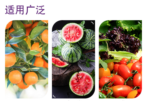 寰敓鐗╂湁鏈鴻偉-瀹炵敤鑿宊04.jpg 寰敓鐗╂湁鏈鴻偉-瀹炵敤鑿宊04.jpg