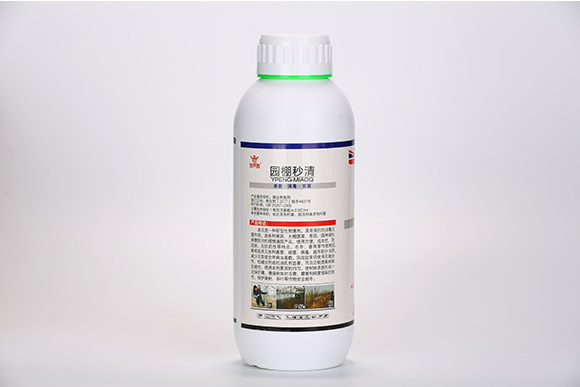 IMG_9446.jpg IMG_9446.jpg