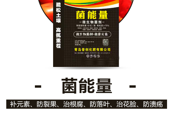 鑿岃兘閲?寰敓鐗╄弻鍓俖04.jpg 鑿岃兘閲?寰敓鐗╄弻鍓俖04.jpg