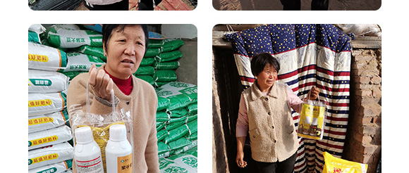 �۹Ƚ��ȫ����-�����_