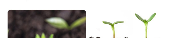 �۹Ƚ��ȫ����-�����_