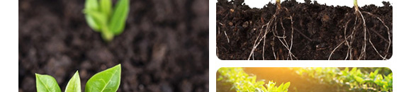 �۹Ƚ��ȫ����-�����_