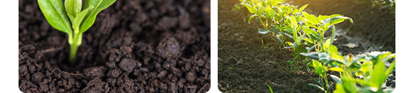 �۹Ƚ��ȫ����-�����_