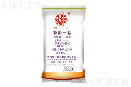 2020-12-8�������@�Ј��r�������r