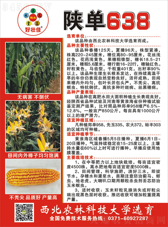 陜單638玉米種子-好壯佳-中亞農(nóng)業(yè) 陜單638玉米種子-好壯佳-中亞農(nóng)業(yè)
