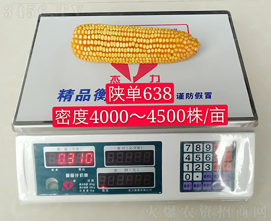 陜單638玉米種子-好壯佳-中亞農(nóng)業(yè) 陜單638玉米種子-好壯佳-中亞農(nóng)業(yè)
