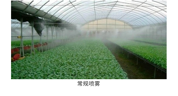 澶氭晥铻悎鑲ユ枡-鑲ュ痙椴乢07.jpg 澶氭晥铻悎鑲ユ枡-鑲ュ痙椴乢07.jpg