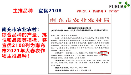 宜優(yōu)2108-水稻種子-福華高科