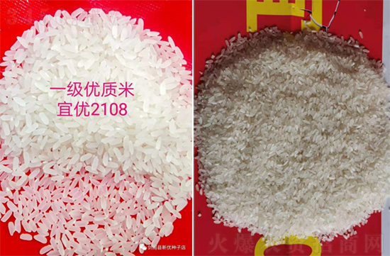 宜優(yōu)2108-水稻種子-福華高科