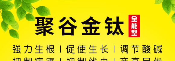 �۹Ƚ��ȫ����-�����_