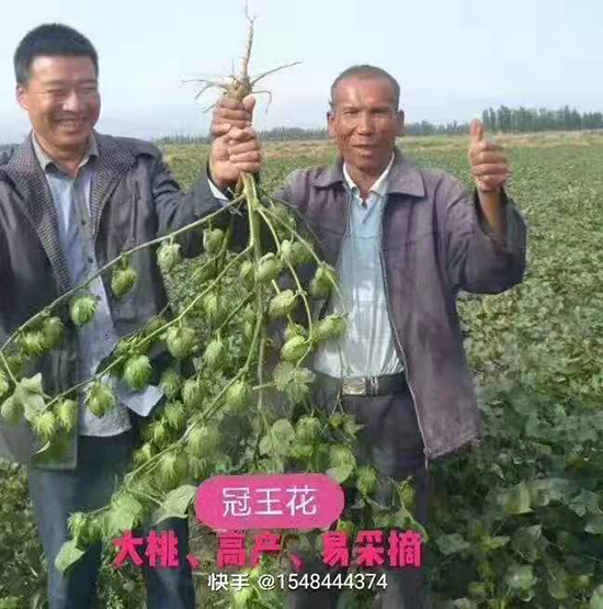 �����67�޻��N��-������-���SԪ