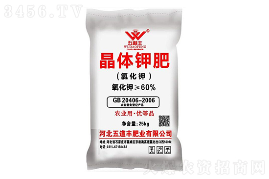 2021-1-19����⛷ʃr�������rһ�[