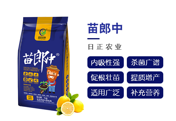 1kg苗郎�?日正农业_03.jpg