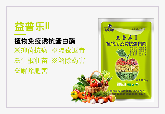 植物免疫诱抗蛋白�?益普乐II_03.jpg
