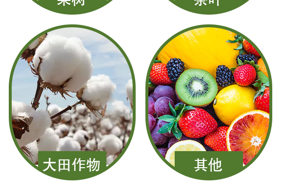 鍦熷¥璋冪悊鍓?紜呭井澶氳ˉ_05.jpg 鍦熷¥璋冪悊鍓?紜呭井澶氳ˉ_05.jpg