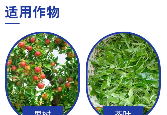 微生物菌�?修土植宝-益农肥业_04.jpg