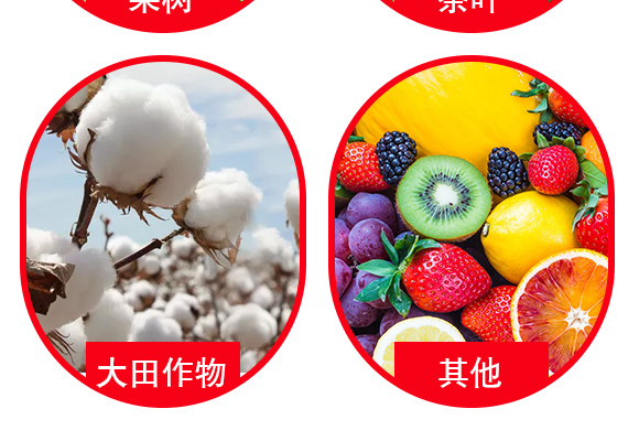 鏈夋満鏃犳満澶嶆販鑲ユ枡-緙撳姪闈掔敯_05.jpg 鏈夋満鏃犳満澶嶆販鑲ユ枡-緙撳姪闈掔敯_05.jpg