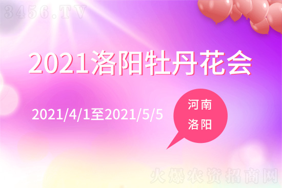 河南洛陽牡丹花展時(shí)間是幾月幾日 洛陽牡丹花會(huì)介紹 河南洛陽牡丹花展時(shí)間是幾月幾日 洛陽牡丹花會(huì)介紹