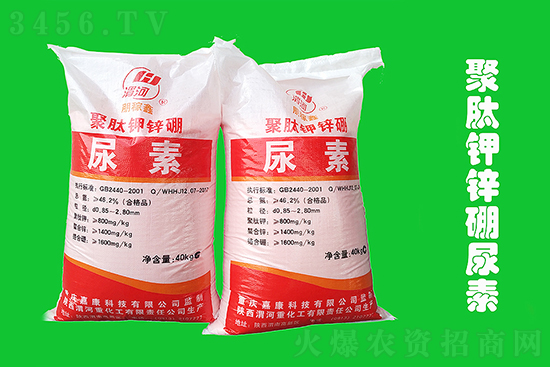 �����Ј�ƫ���\����2021-3-2�������؃r���r