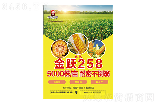 2021-3-4ɽ�|�؅^(q��)���׃r����ُ��rһ�[