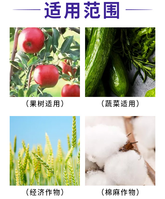 枯草·哈茨木霉�?李秀才_05.jpg