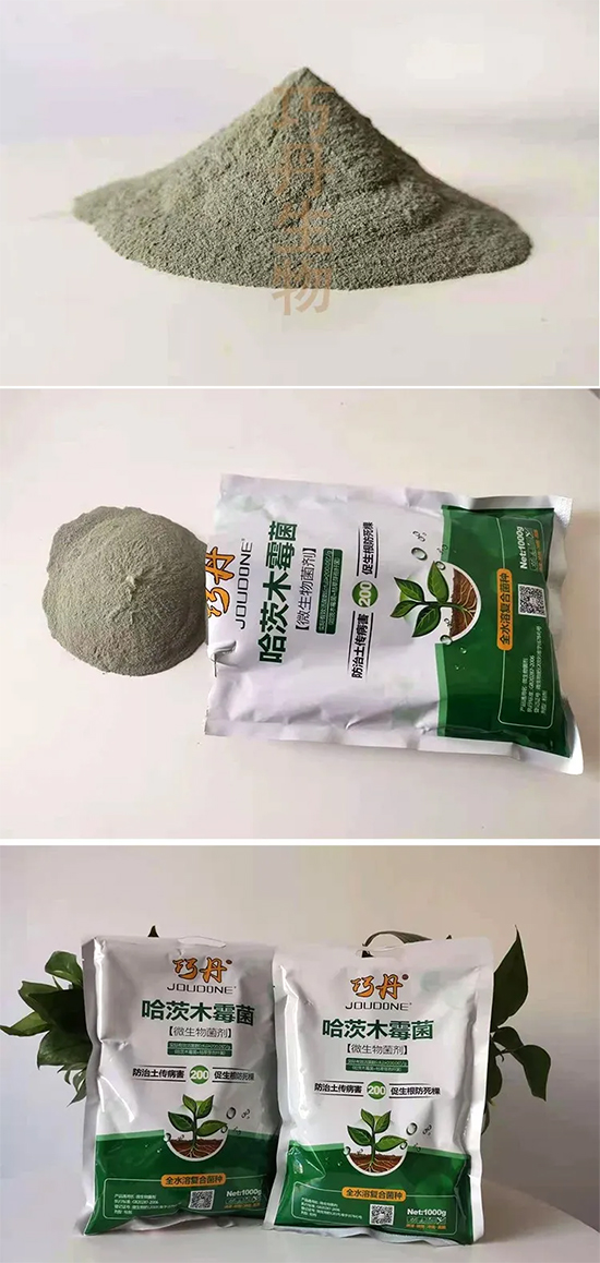 哈茨木霉菌-巧丹-萬(wàn)瑞谷德 哈茨木霉菌-巧丹-萬(wàn)瑞谷德