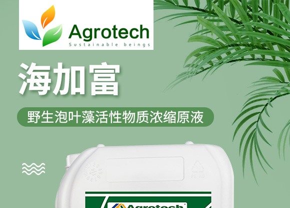 鍩冨強(qiáng)鑹炬牸娉板厠鍥介檯鍐滀笟寮€鍙戞妧鏈泦鍥㈡湁闄愬叕鍙?_01.jpg 鍩冨強(qiáng)鑹炬牸娉板厠鍥介檯鍐滀笟寮€鍙戞妧鏈泦鍥㈡湁闄愬叕鍙?_01.jpg