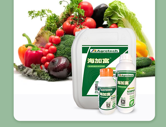 鍩冨強(qiáng)鑹炬牸娉板厠鍥介檯鍐滀笟寮€鍙戞妧鏈泦鍥㈡湁闄愬叕鍙?_05.jpg 鍩冨強(qiáng)鑹炬牸娉板厠鍥介檯鍐滀笟寮€鍙戞妧鏈泦鍥㈡湁闄愬叕鍙?_05.jpg