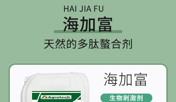 鍩冨強(qiáng)鑹炬牸娉板厠鍥介檯鍐滀笟寮€鍙戞妧鏈泦鍥㈡湁闄愬叕鍙?_06.jpg 鍩冨強(qiáng)鑹炬牸娉板厠鍥介檯鍐滀笟寮€鍙戞妧鏈泦鍥㈡湁闄愬叕鍙?_06.jpg