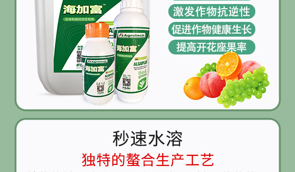 鍩冨強(qiáng)鑹炬牸娉板厠鍥介檯鍐滀笟寮€鍙戞妧鏈泦鍥㈡湁闄愬叕鍙?_07.jpg 鍩冨強(qiáng)鑹炬牸娉板厠鍥介檯鍐滀笟寮€鍙戞妧鏈泦鍥㈡湁闄愬叕鍙?_07.jpg