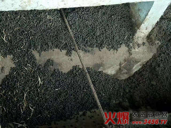 ��ꖿh�옷����Ƽ����޹�˾