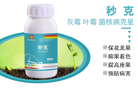 鐏伴湁銆佸彾闇夈€佽弻鏍哥梾鍏嬫槦-縐掑厠_03.jpg 鐏伴湁銆佸彾闇夈€佽弻鏍哥梾鍏嬫槦-縐掑厠_03.jpg