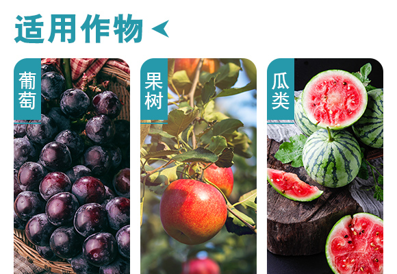 鐏伴湁銆佸彾闇夈€佽弻鏍哥梾鍏嬫槦-縐掑厠_04.jpg 鐏伴湁銆佸彾闇夈€佽弻鏍哥梾鍏嬫槦-縐掑厠_04.jpg