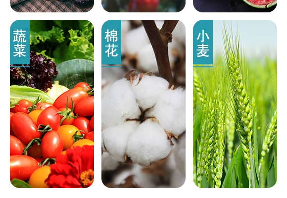 鐏伴湁銆佸彾闇夈€佽弻鏍哥梾鍏嬫槦-縐掑厠_05.jpg 鐏伴湁銆佸彾闇夈€佽弻鏍哥梾鍏嬫槦-縐掑厠_05.jpg