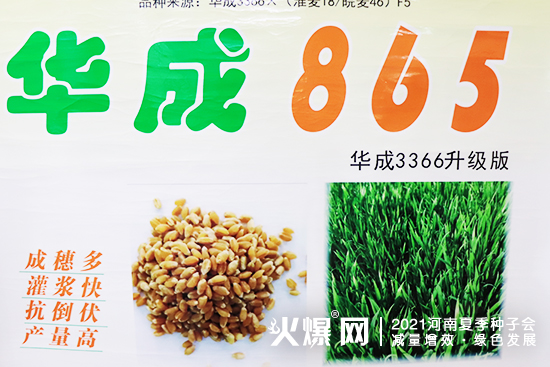 �۽�չ��������Ј���2021�����ļ��N�ӕ��������A���ڴ������W�R��