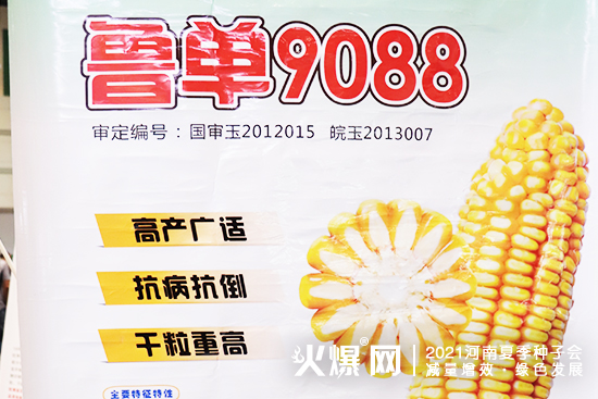 �۽�չ��������Ј���2021�����ļ��N�ӕ��������A���ڴ������W�R��