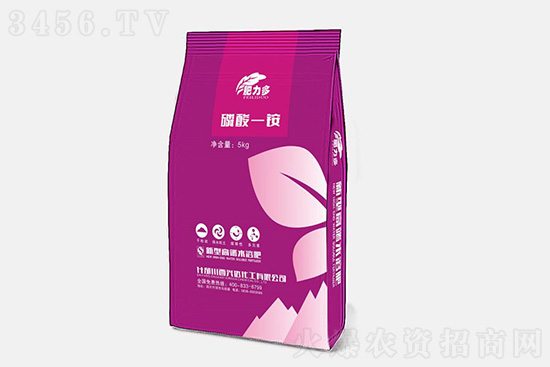 2021��9��4�Շ���(n��i)���@�Ј���(b��o)�r(ji��)����