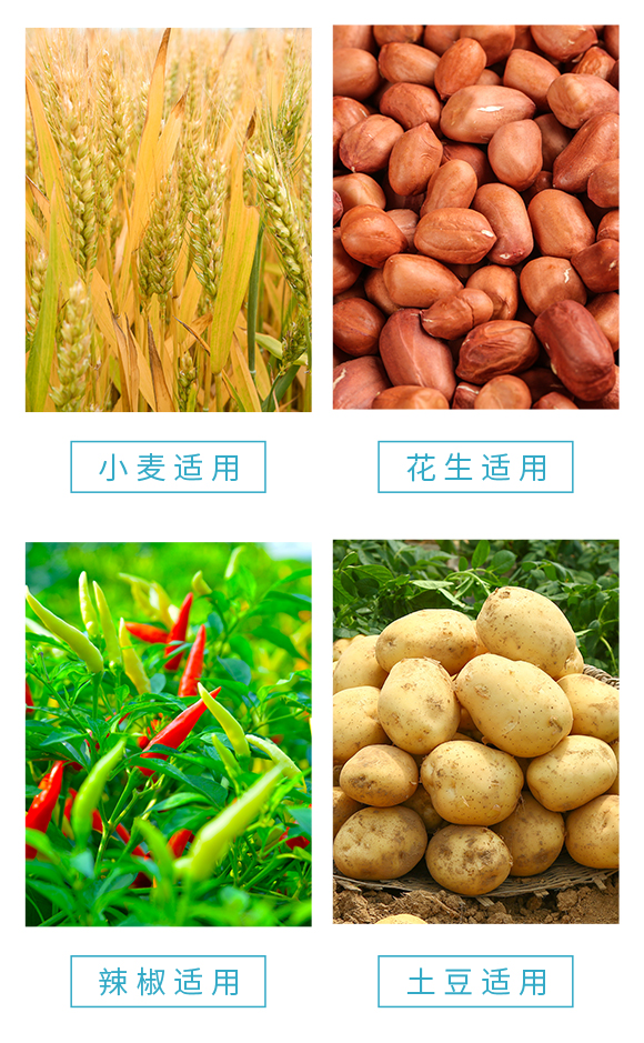 濂ユ柉欏跨敓鐗╃鎶€鏈夐檺鍏徃-娓呭洯鍓俖06.jpg 濂ユ柉欏跨敓鐗╃鎶€鏈夐檺鍏徃-娓呭洯鍓俖06.jpg